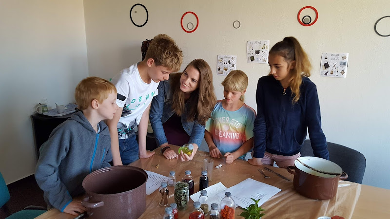 Logo Akai Kiku S.r.o.