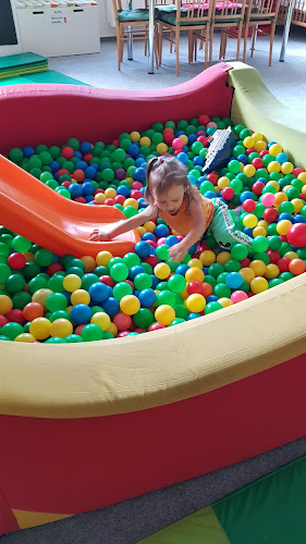 Logo Alcedo - Středisko Volného Času A Plavecká Škola Vsetín