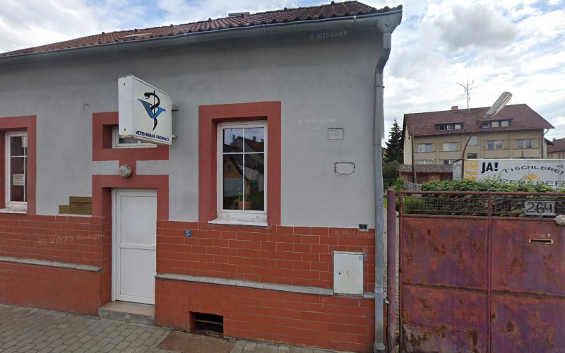 Logo Angelika Sloupová