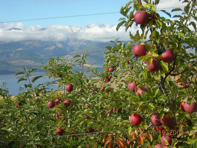 Logo Angličtina Řehoř - Jazyková Škola