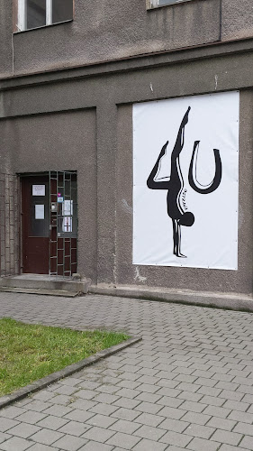 Logo Anna Ogrocká Ostrava 4U