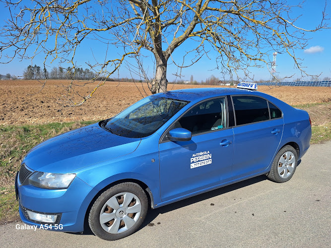 Logo Autoškola Persein