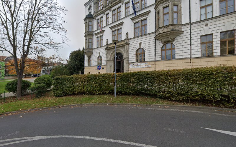 Logo Autoškola Roofex