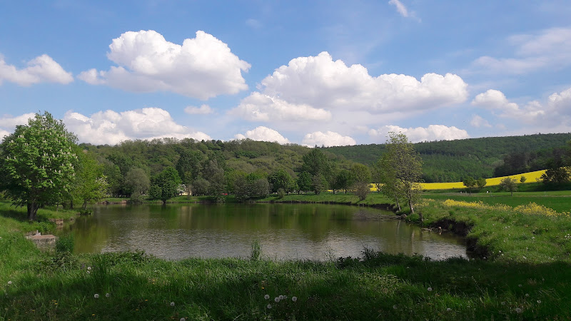 Logo Autoškola Šmehlík