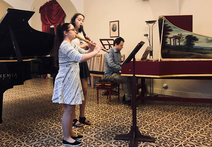 Logo Církevní Konzervatoř Německého Řádu