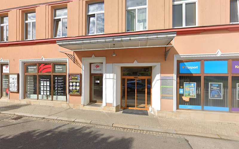 Logo Domino - Jazyková Škola Trutnov