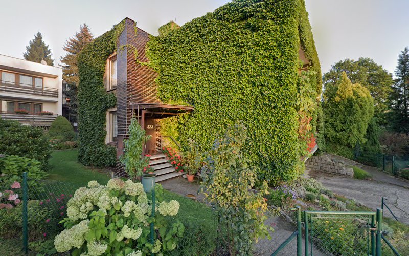 Logo English Czech Language Agent