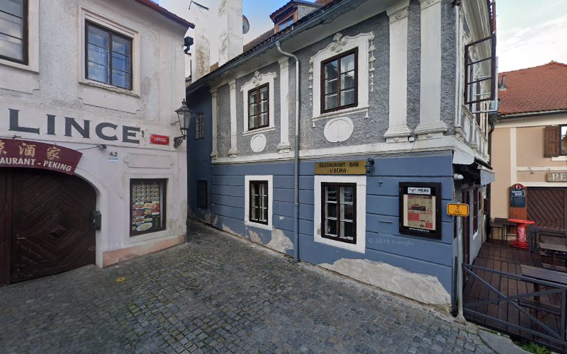 Logo English Point Čk