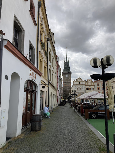 Logo Goethe-Zentrum Pardubice