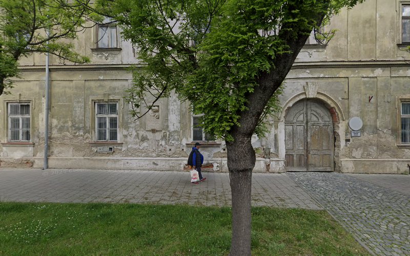 Logo Jazyková Agentura Langue