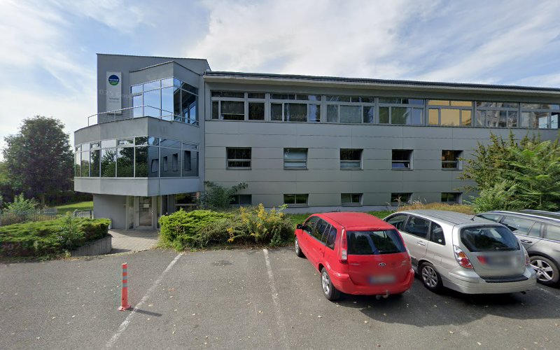 Logo Jazyková Škola Cz.yes