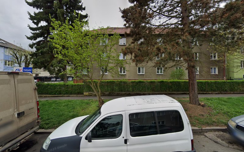 Logo Jazyková Škola Menta