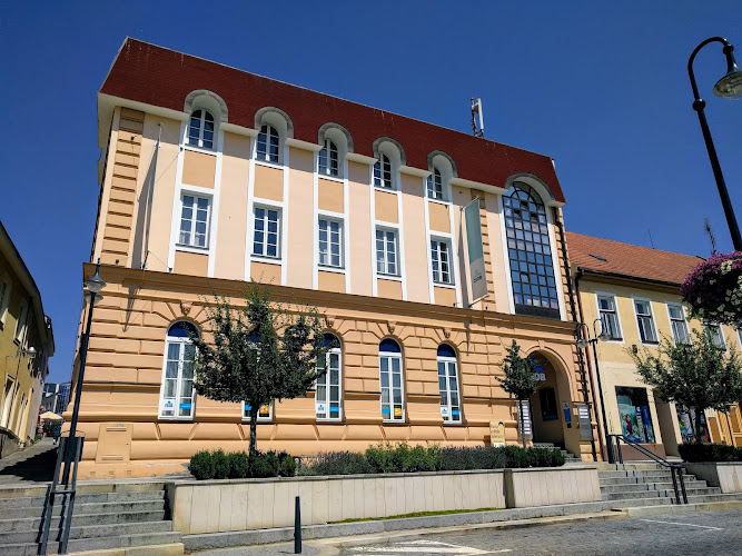 Logo Jazyková Škola Vyva