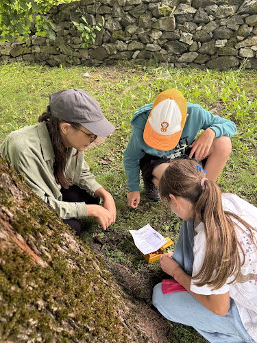 Logo Jazykovka Krumlov - Angličtina Pro Děti, Náctileté I Dospělé