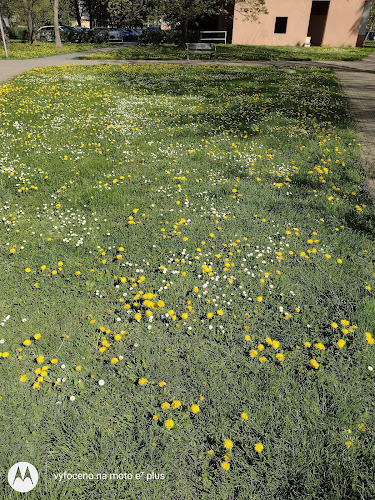 Logo Klub Polabiny Iv Sro