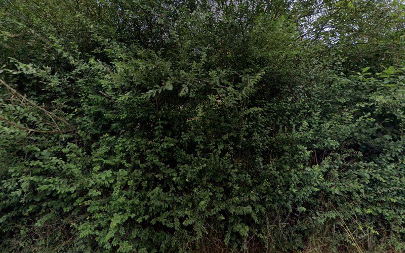 Logo Koloseum Dance Team Plzeň