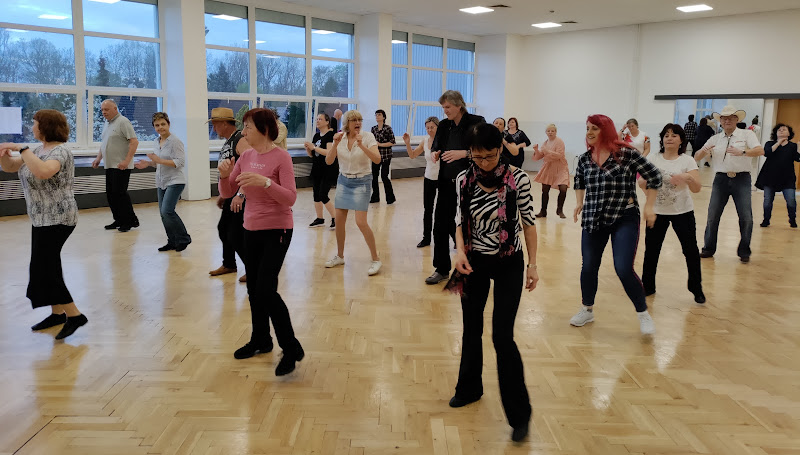 Logo Line Dance Vyškov