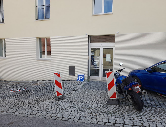 Logo Lls - Link Language School, S.r.o.