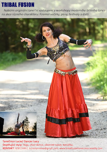 Logo Lucie Slaninová