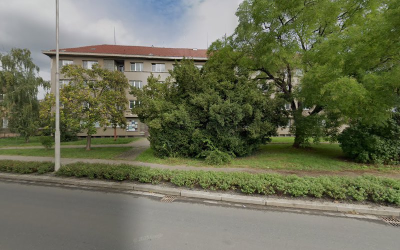 Logo Owl Výuka Jazyku, S.r.o.