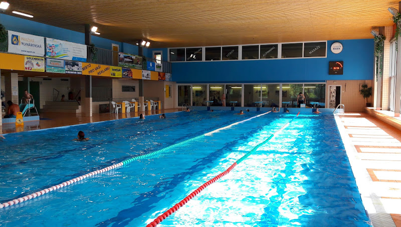 Logo Plavecká Škola Chobotnice