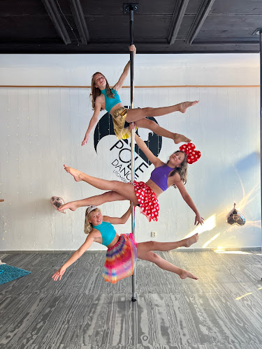 Logo Pole Dance Litoměřice