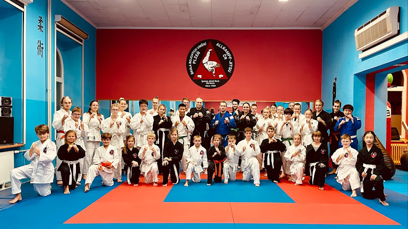 Logo Škola Bojových Umění Plzeň