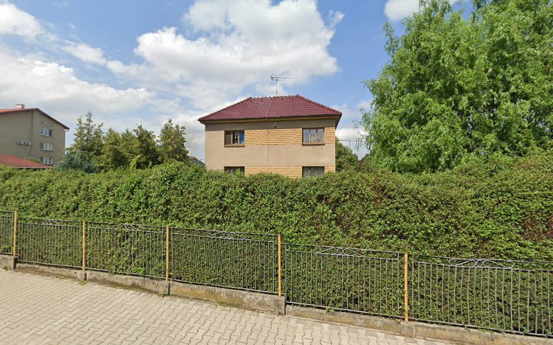 Logo Škola Společenského Tance Z.s.