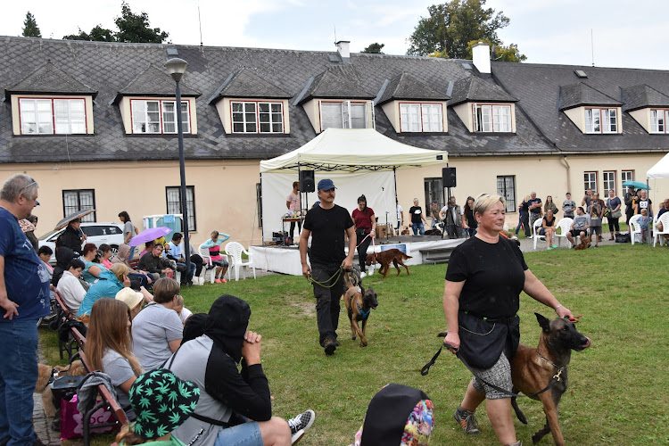 Logo Škola Výcviku Psů, Klára Kučerová