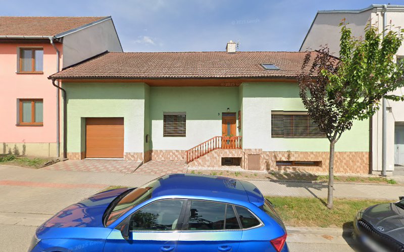 Logo Stanislav Ambrož