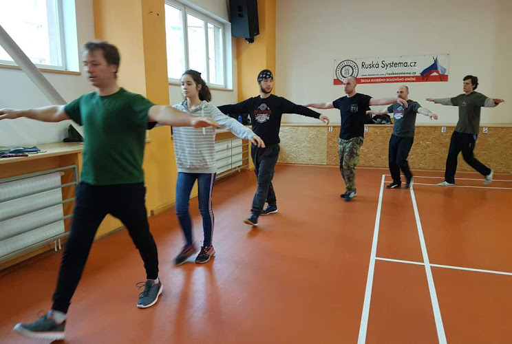 Logo Systema-Sebeobrana