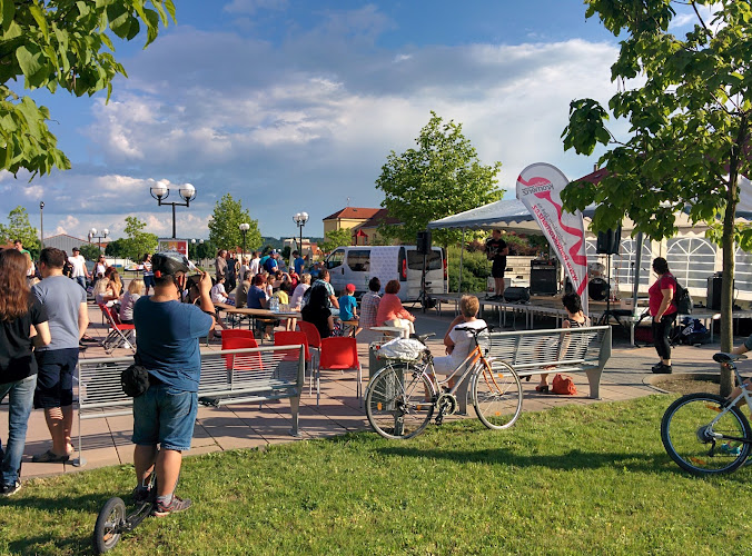 Logo Szuš D-Music S.r.o.