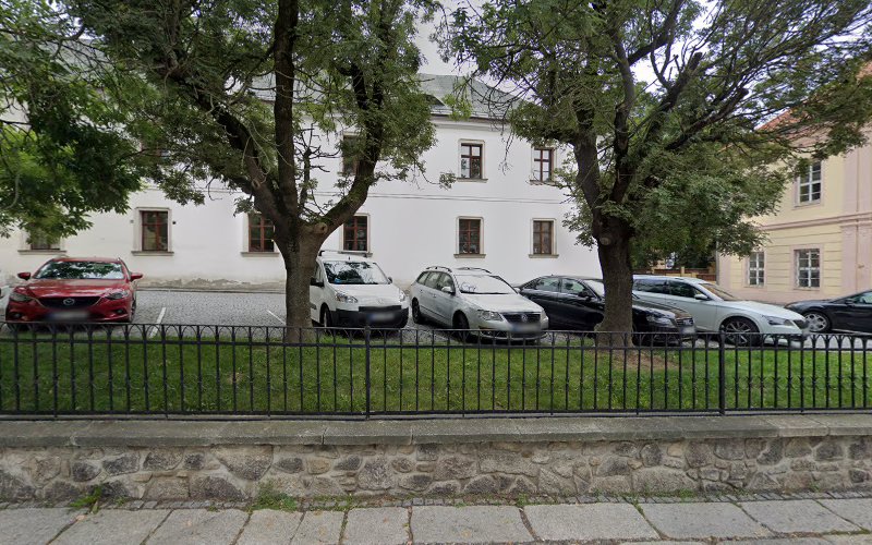 Logo Tanec Domažlice