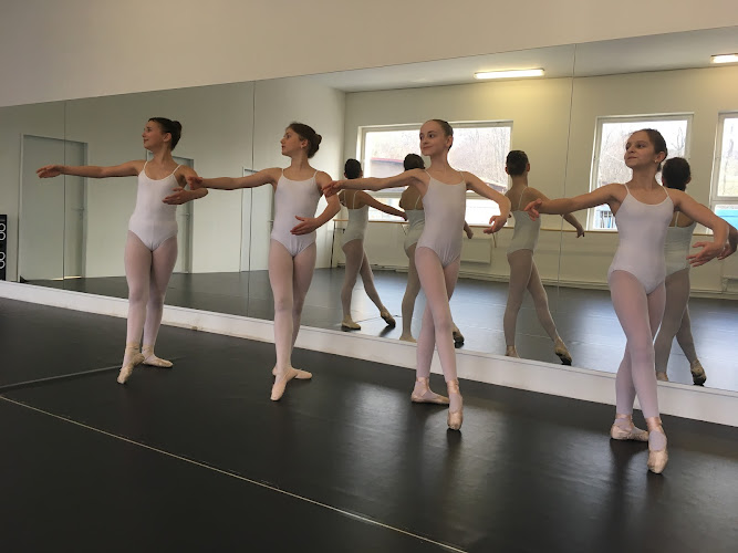 Logo Taneční Akademie Scenic S.r.o.