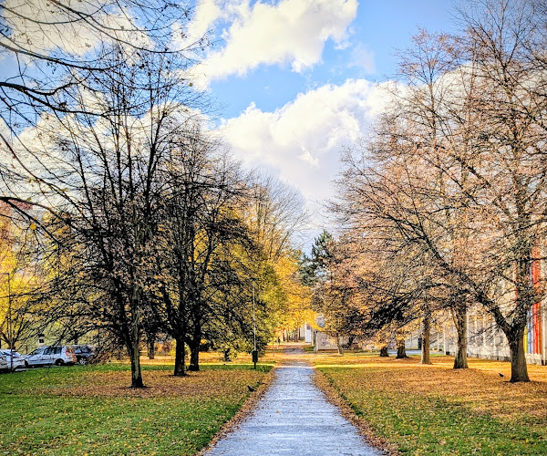 Logo Taneční Klub Besta Chrudim