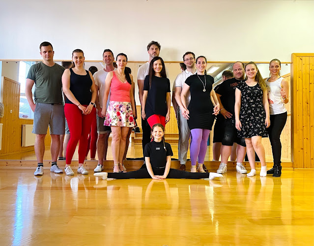 Logo Taneční Kurzy Hodonín Naparketu