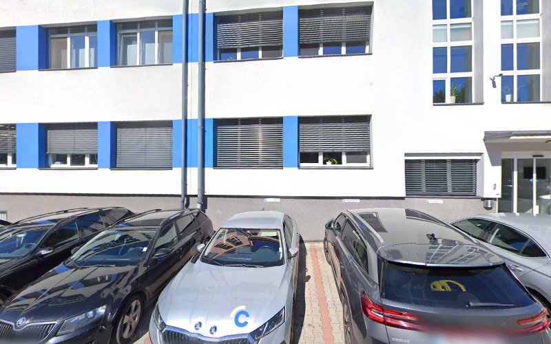 Logo Taneční Ples Vsetín 2019