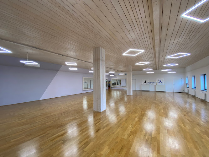 Logo Taneční Škola A Klub Sportovního Tance Tapos Litoměřice