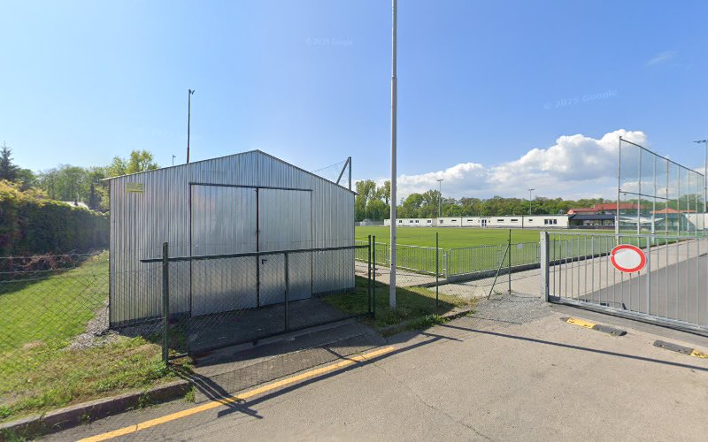 Logo Taneční Studio Mango