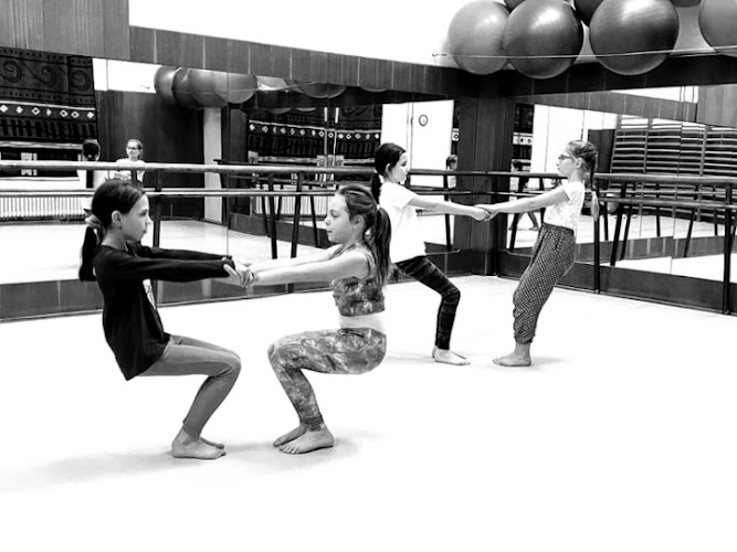 Logo Taneční Studio V Pohybu