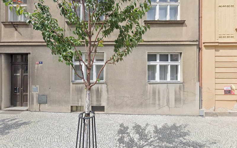 Logo Tsk Salta Benešov