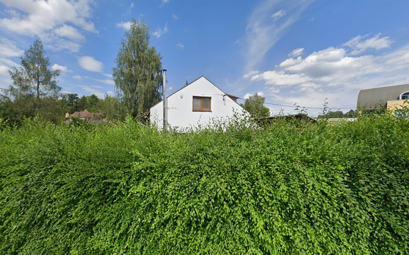 Logo Voicerry.club With Alina Naumenko