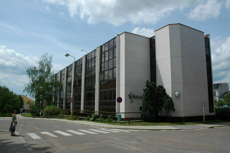 Logo Zuš Rychnov Nad Kněžnou